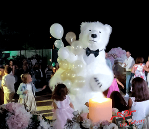 White Polar Bear for Children's Kids Parties in Athens. Order a greeting from a polar bear in Athens. Polar bear for birthday. polar bear in Athens. Order a Polar Bear for children's kids parties. Animator White Polar Bear for a Children's kids Party in Athens. Mascotte White Polar Bear at a kids children's party. Gift Delivery. Polar bear.